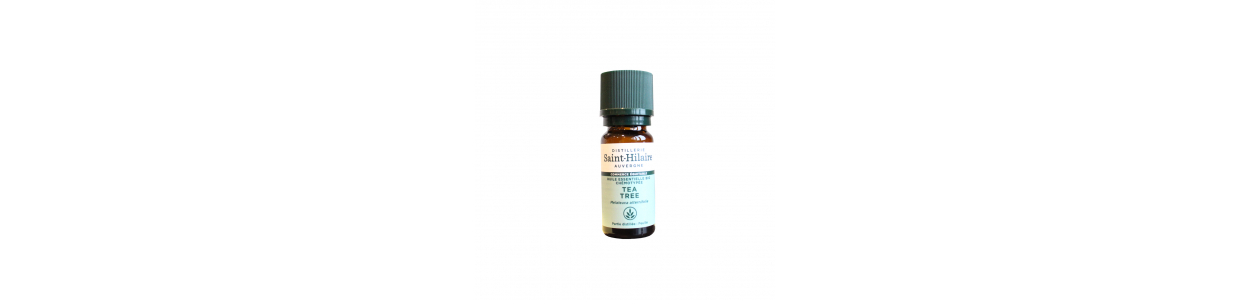 Huile essentielle - 10ml - Parfum Tea Tree - Savonnerie des Collines
