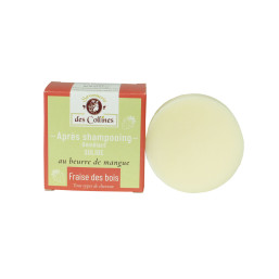 Après_shampooing_solide_démelant