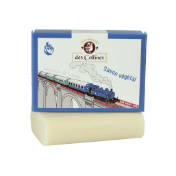 savon_train_vendee