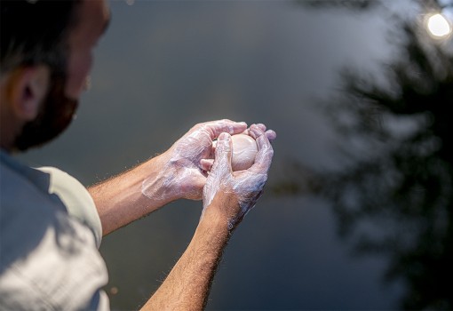 Savon au lait de chèvre BIO et hydratant