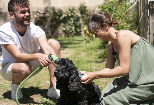 Shampoing solide naturel pour rendre les poils sains et brillants