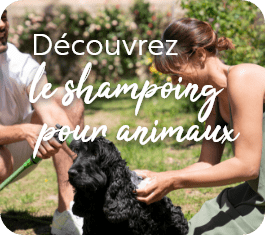 Shampoing animaux